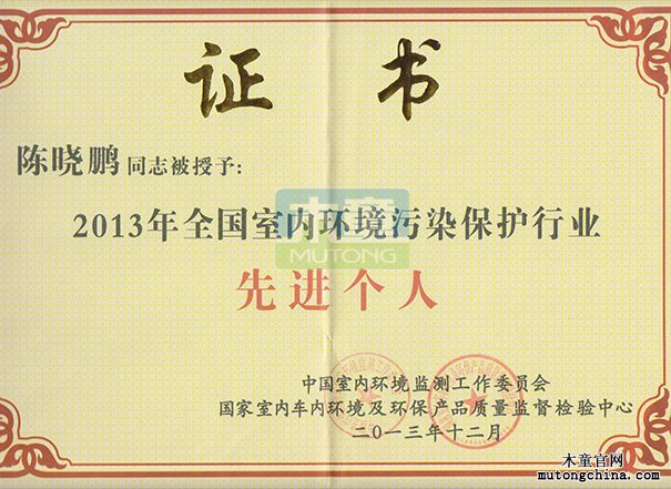 2013年全國室內行業先進個人
